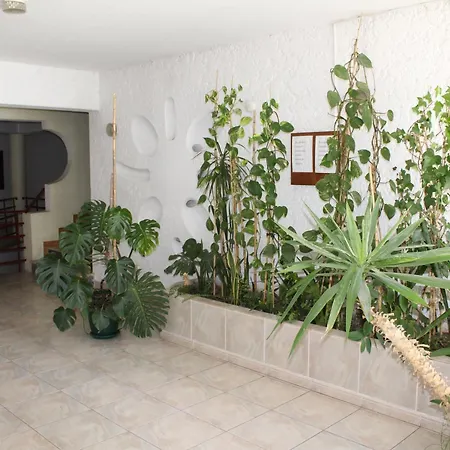 Apartamentosolpraia - Patio Da Rocha Апартаменты *